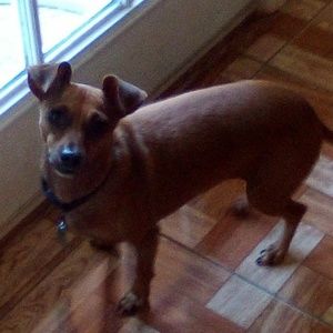 Meet your Posher, Skyden